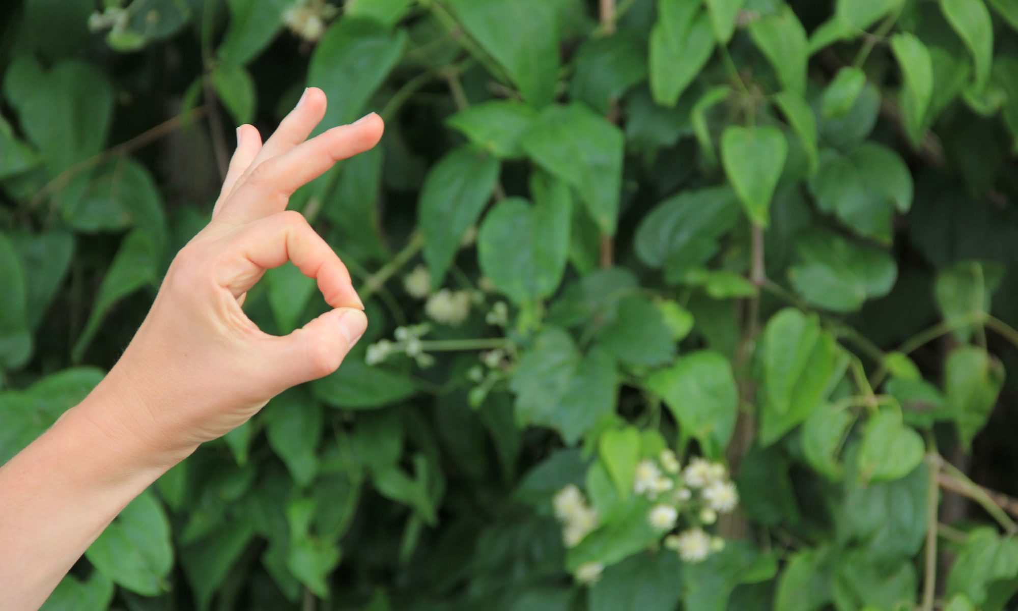 Yoga-Lehrerin Ulrike Pape mit den Fingern in cin mudra