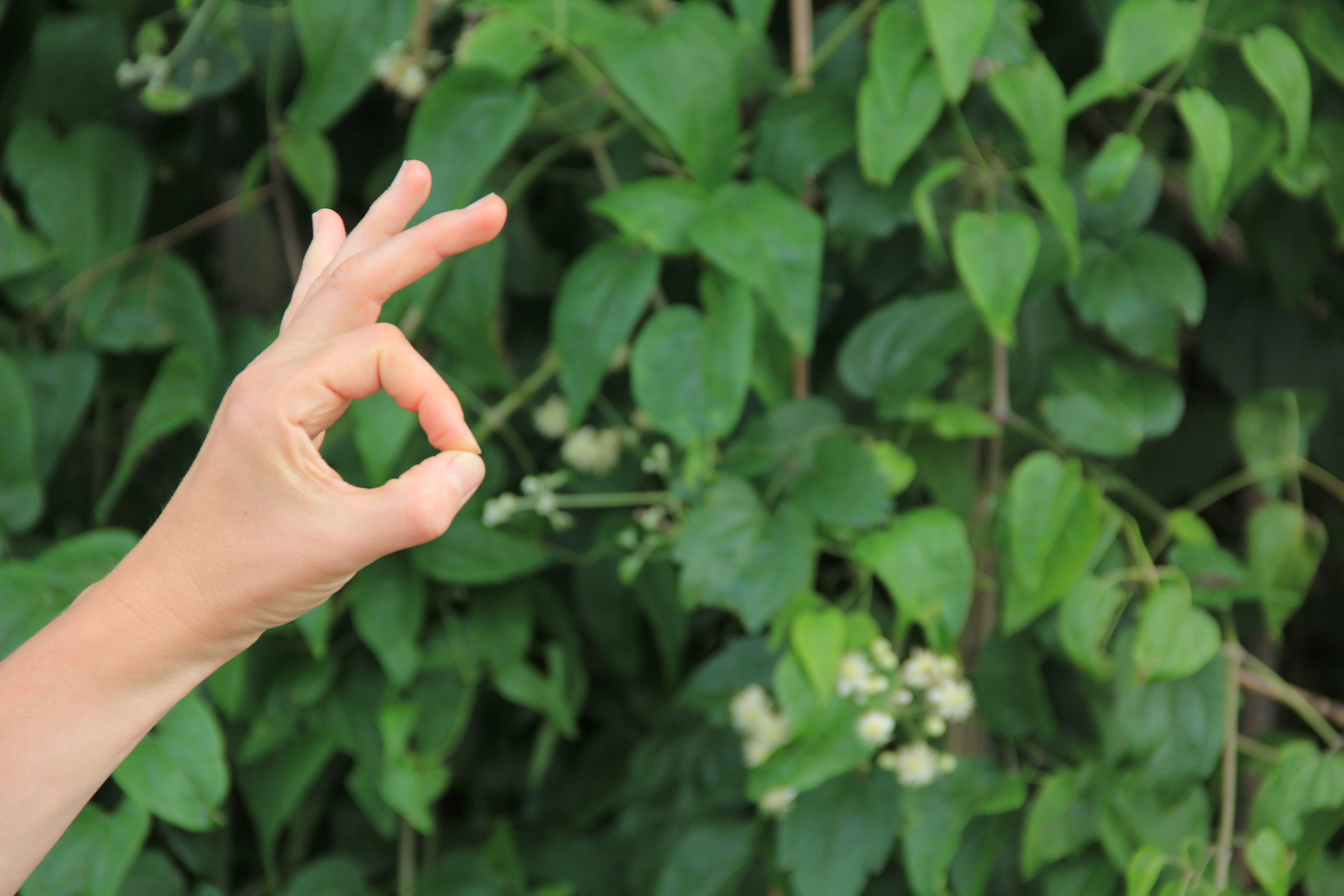 Yoga-Lehrerin Ulrike Pape mit den Fingern in cin mudra